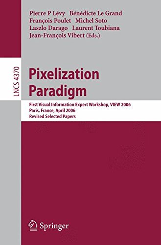 Pixelization Paradigm: Visual Information Expert Workshop, VIEW 2006, Paris, France, April 24-25, 2006, Revised Selected Papers: 4370 (Image ... Vision, Pattern Recognition, and Graphics)