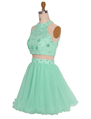 Short Piece Prom Dresses For Women Juniors Homecoming Tulle