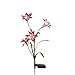Produktbild Solarlampe in Blumenform, 4 LEDs, Außendekoration, für Garten, Weihnachten