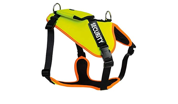 zoofari dog lead