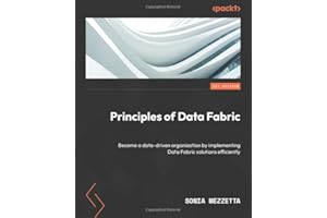 Principles of Data Fabric: Become a data-driven organization by implementing Data Fabric solutions efficiently