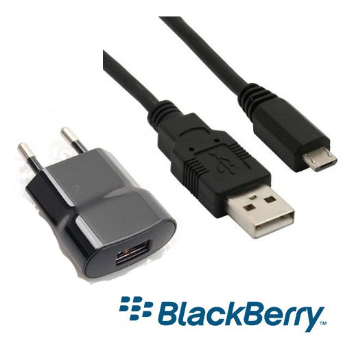 Original Blackberry 2-teiliges USB Ladegerät Netzteil Reiselader und Datenkabel passend für Blackberry 9810 Torch