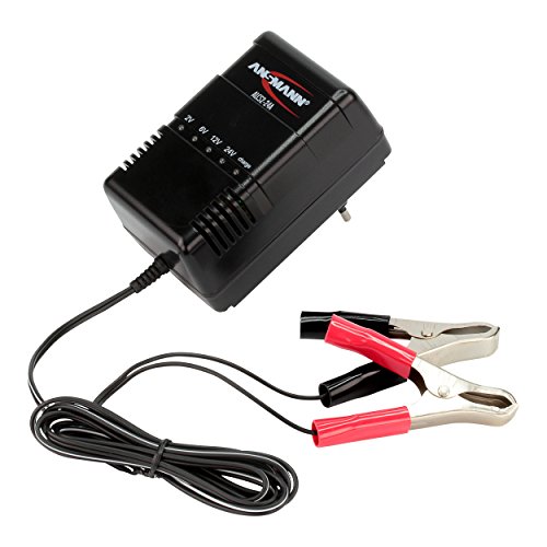 Preisvergleich Produktbild Wentronic Charger ALCS 2-24 Bleiladegerät Ansmann Tisch