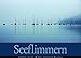 Seeflimmern 2013 by