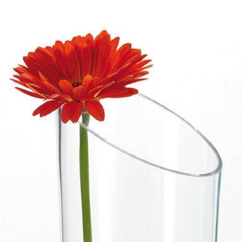 LEONARDO 012306 Vase Dynamic 50 cm - 2