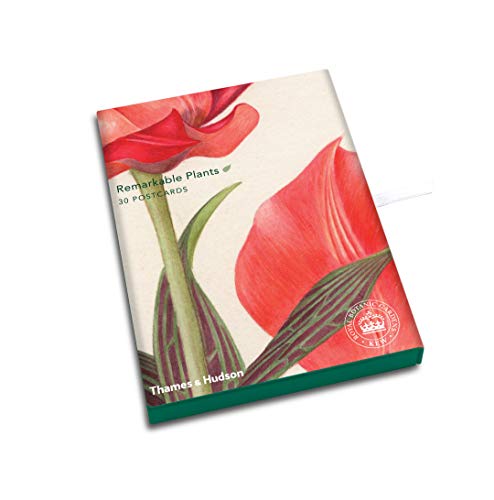Remarkable Plants: Postcards (Thames & Hudson Gift)