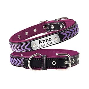 Collares de Perro de Cuero Personalizados – Etiqueta de identificación de Mascota grabada en el Collar – Collar de Perro Trenzado con Placa de Acero Inoxidable-Viola-XS