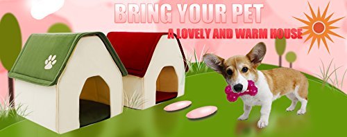 PAWZ-Road-Dog-House-For-Medium-and-Small-Pets-Color-Green-Red-Roof