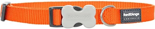 Red DingoBucklebone Dog Collar Plain, Orange, Small 15mm