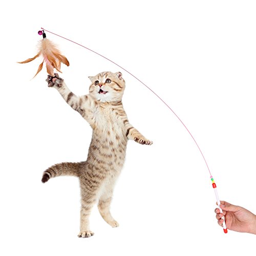Reefa-Kit-de-Jouet-pour-Chats-Pack-Jouet--Plume-Balles-Jouets--Lherbe-Jouet--McherPoisson