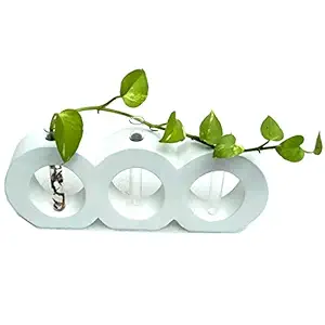 wood designers wooden decorative table planter / flower vase / bud vase 3 test tube planter / table stand attractive design for home decorative stylish decor /standard size :-12 x 6 x 1 inches color white