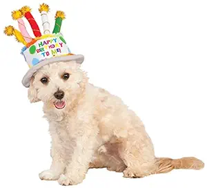 Birthday Cake Hat for Pet, Small/Medium