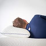 RESTBULLE Oreiller Ergonomique à Mémoire de Forme - Maintien de la Nuque - Accueil Moelleux Qualité Hôtellerie Format Classique 40x60x12cm - Marque Française