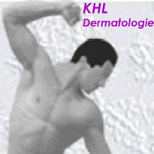 Krankheitslehre Dermatologie (kleines Kompendium der Physiotherapie 6)