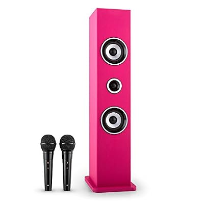 auna Karaboom Enceinte colonne avec fonction karaoké et Bluetooth (2 micros inclus, port USB, AUX) - noir