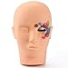 Neverland Beauty Training Mannequin Make Up Practice Flat Head Eye False Lashes Eyelash Extensions Lip Tatoo Practice Model Mannequin Manikin Head
