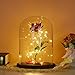 Produktbild About1988 Valentinstag Die Schöne und das Biest Rosen-Set, Verzaubert Rose in Eleganten Glaskuppel mit LED leuchtet Pine Base Hochzeitsgeschenk,Mutter Tag Geschenk (Rot)