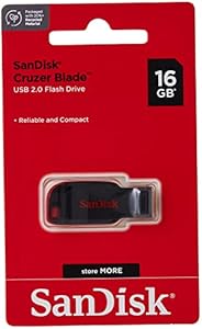 SanDisk Cruzer Blade 32GB USB Flash Drive