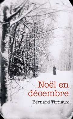 couverture de : Noël en décembre
