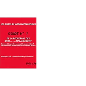 DE LA RECHERCHE DES IDEES.............AU LANCEMENT (LES GUIDES DU MICRO ENTREPRENEUR t. 1)
