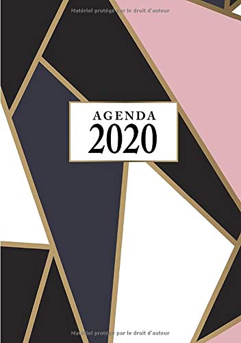 Télécharger Agenda: Semainier - Petit Format A5 - Rose Noir Or - Calendrier Janvier à Décembre PDF Ebook En Ligne