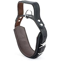 [Gesponsert]Hundehalsband mit Griff, Leder (55cm x 60mm)