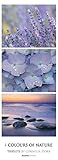 Image de Colours of Nature 2017 - Triples - Streifenkalender XXL (25 x 70) - by Cornelia Dörr - Naturkalende
