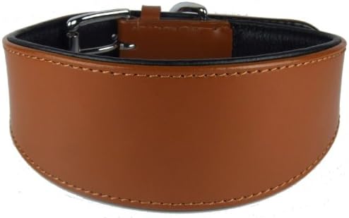 Comfy Saluki Lurcher Greyhound LEATHER DOG COLLAR : 20" Collar- Will Fit 14.5" to 17.5"