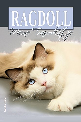 Ragdoll Meine Traumkatze German Edition Ebook Carolin