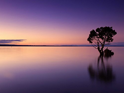 Preisvergleich Produktbild VERO PUZZLE 47200 Natur - Sonnenuntergang, 500 Teile in Hochwertiger, cellophanierter Puzzle-Schachtel