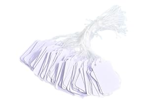 ICED PIXEL 500Pcs Etiquette Prix, 24 * 15 mm Étiquette Blanches avec Ficelle et Boîte Blanche, Étiquettes de Prix en Papier Vierges Inscriptibles, Etiquette Vetement Bijoux Cadeaux
