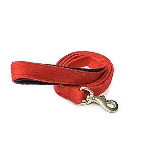 PetWale Cotton Red Leash with Padded Handle (Red, Medium)