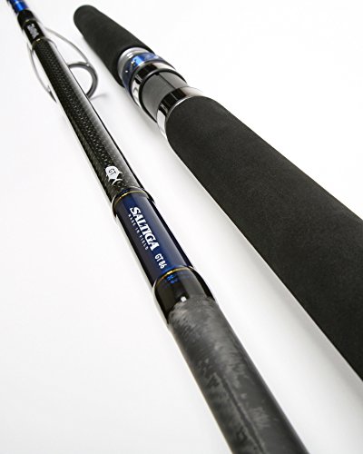 Preisvergleich Produktbild DAIWA SALTIGA GT86 Rod 2pc 100–180 g