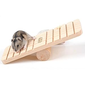 kingwin Hamster Dutch Swine rutschfest Holz klein Pet House Nest Cottage Villa Essential Wippe