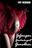 Image de Gefangen – Geschwängert - Gemolken - Ein unvergesslicher Urlaub