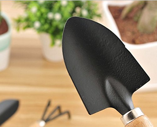 Mini Garten Werkzeugset TaiYaun 3er Set Garten Mini-Werkzeugset von drei, Schaufeln, Kellen und Rechen 3pcs Mini Garden Tools - 4