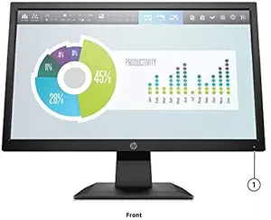 HP P204v 19.5-inch Monitor