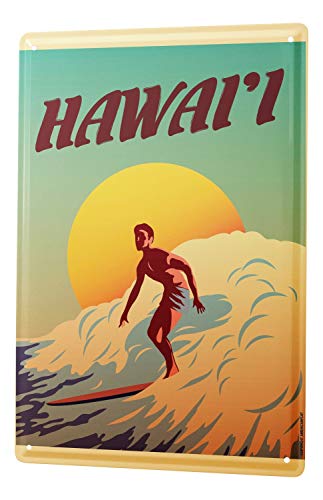LEotiE SINCE 2004 Plaque en Métal Métallique Poster Mural tin Sign Nostalgique Platine Surfer Planche de Surf à Hawaii Soleil