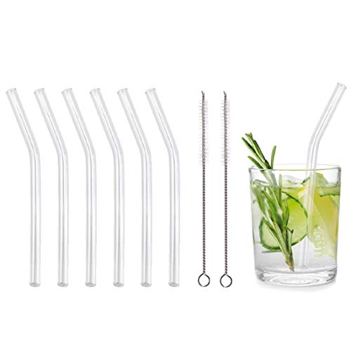 KaraLuna Lot de 6 pailles en Verre + 2 brosses de Nettoyage I 15 cm