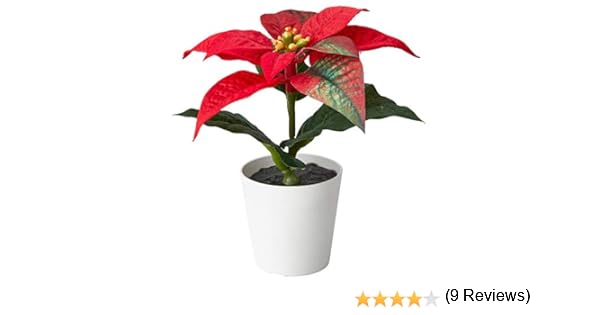 Pianta Stella Di Natale Finta.Ikea Vinterfest 6 Cm Mini Stella Di Natale Artificiale In Vaso 804 291 11 Odontotal Com Uy