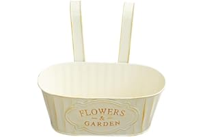 Taicols Pot De Fleurs à Suspendre Seau en Métal Grands Pots De Jardin Crochet Amovible Mural Pot De Fleurs Balcon Vert Planté Pot Fleurs en Fer Carné Maison Mur Décoratif Pot (Blanc)