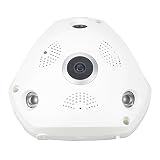 OneBird IP