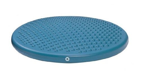 Preisvergleich Produktbild Ballsitzkissen, Disco-Sit 35905000 von Behrend-Homecare