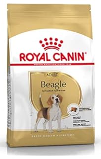 best food for beagles uk