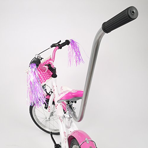 UNIVERSELLE Schubstange für Kinderfahrrad silber - 5