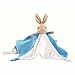Peter Rabbit Comfort Blanket