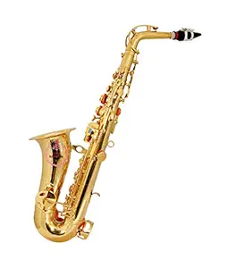 Rose band company Musicals Alto Saxophone Gold Polish with Hard Case (Golden)