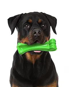 Durable Dog Chew Toys-oneisall Bone Chew Toy for Aggressive Chewers- Indestructible Puppy Toys for Large Dogs M