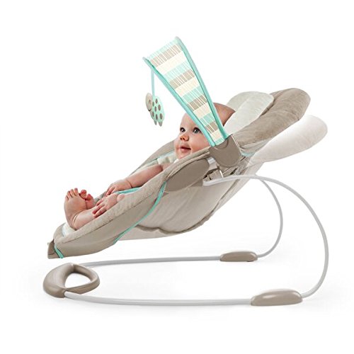 Ingenuity 10269 Bouncer – Sampson - 9