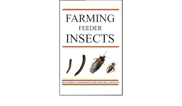 Farming Feeder Insects A Guide Ebook Jeff Jech Amazon In